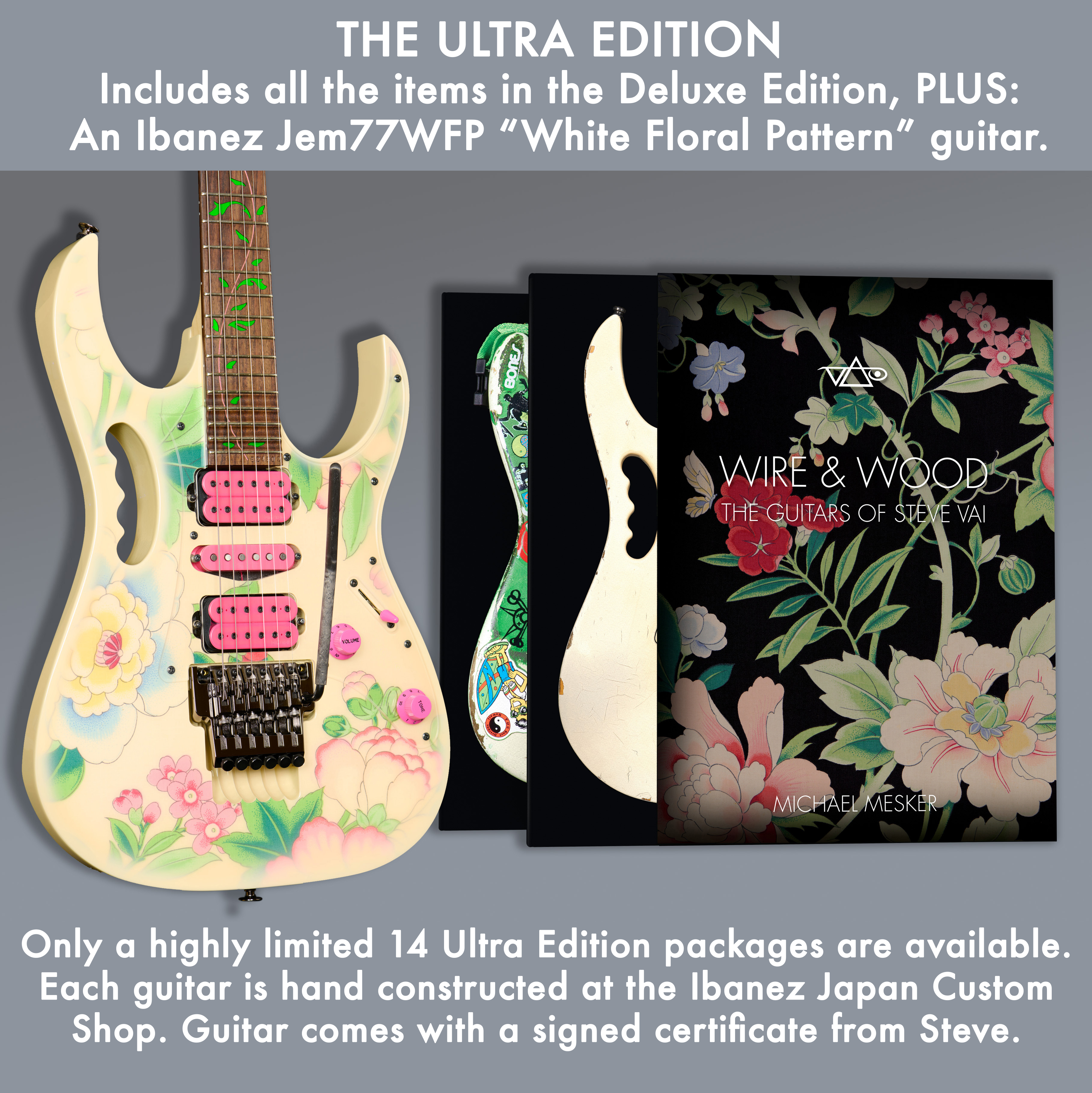 WIRE & WOOD: THE GUITARS OF STEVE VAI Standard Edition